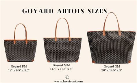 goyard pm size|goyard size pm or gm.